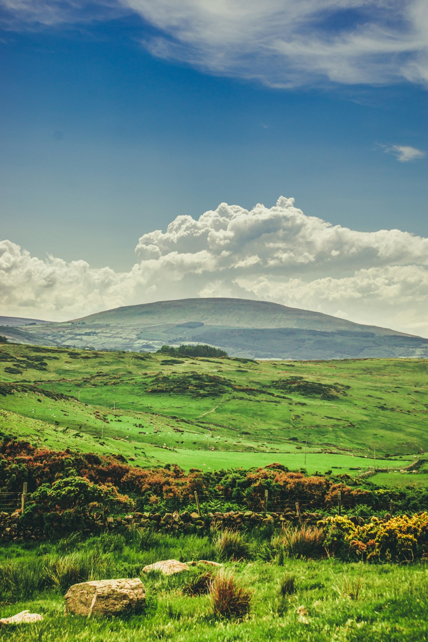 Sustainable Practices for Green Space Maintenance