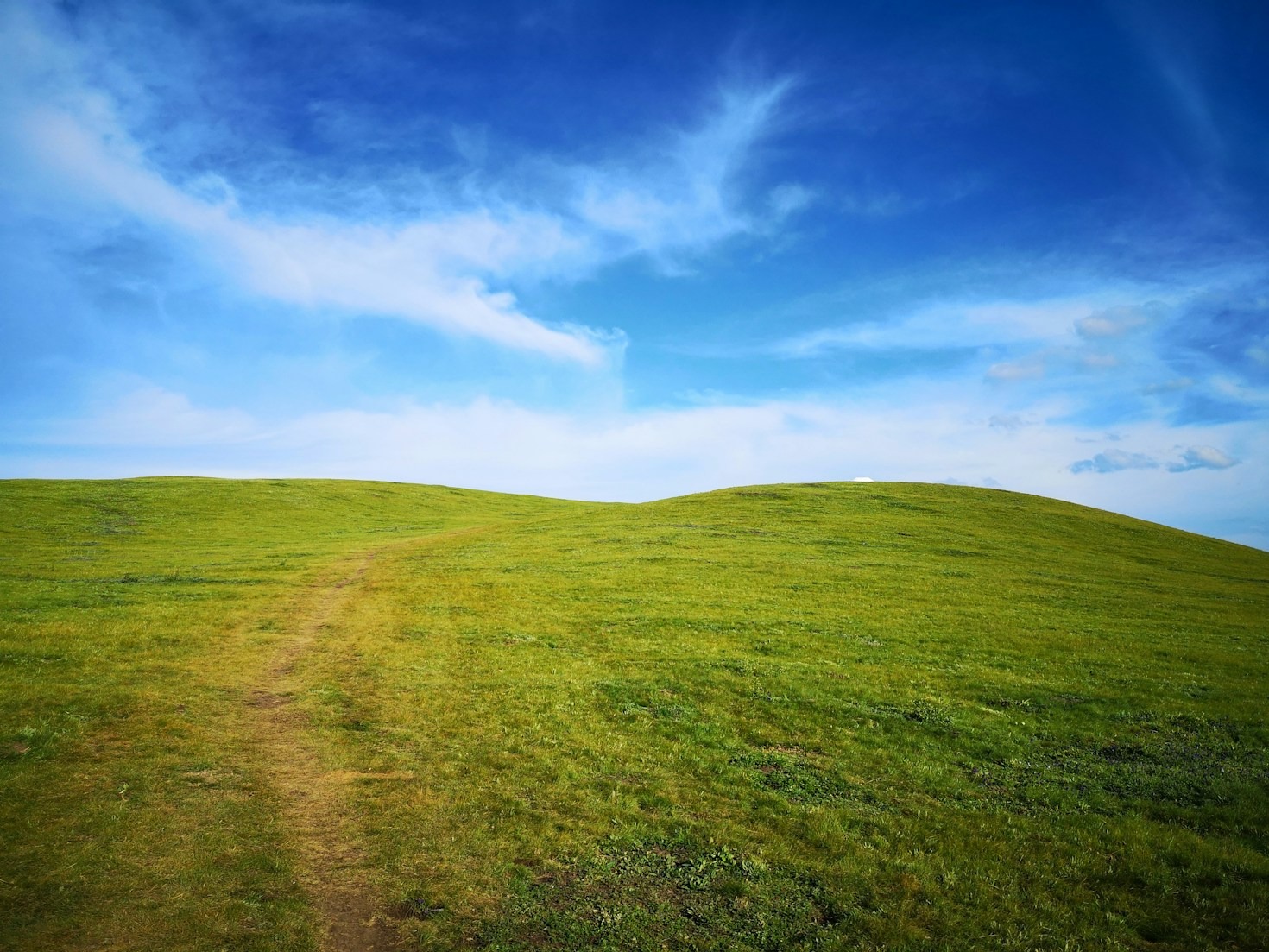 Agricultural Efficiency with Frontier Ag Turf’s Solutions